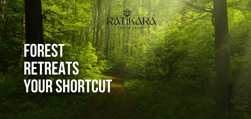 Forest Retreats