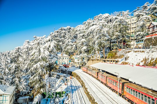 shimla Snowfall