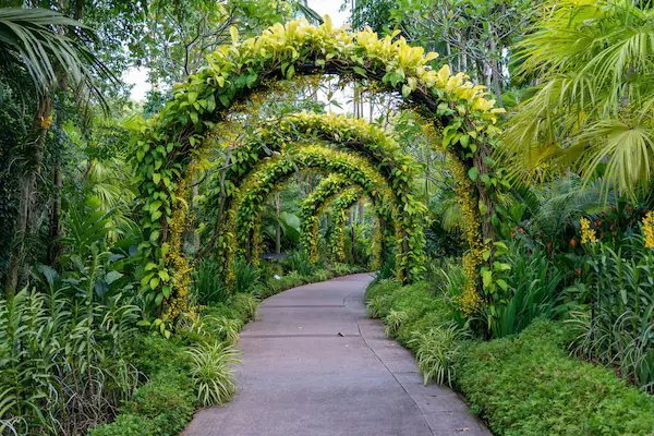 Noida Botanical Garden